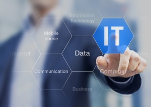 SAP Consultants